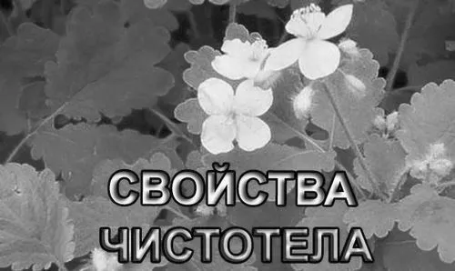 лікувати