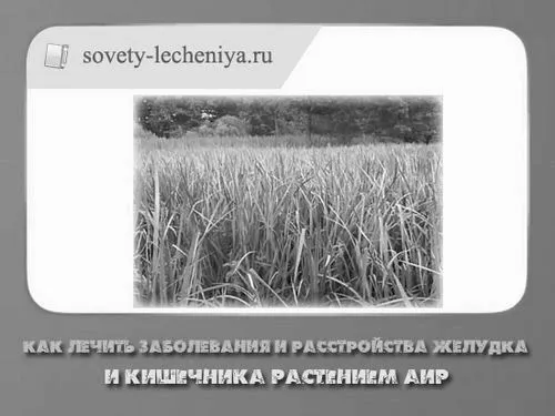 кишечника