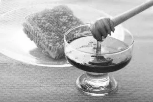 як лікувати нирки медом