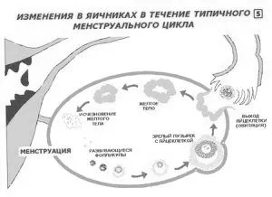 причини