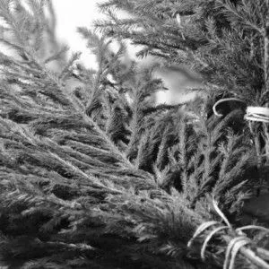 бурсит ліктьового суглоба