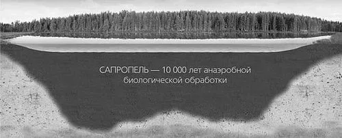 Тамбуканского бруд для суглобів