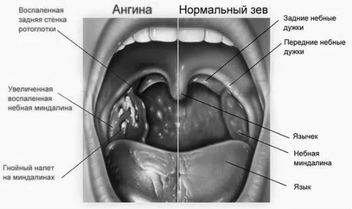 гомеопатією