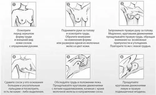 залоз