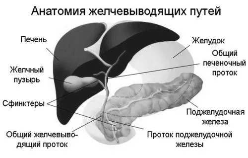 функцій