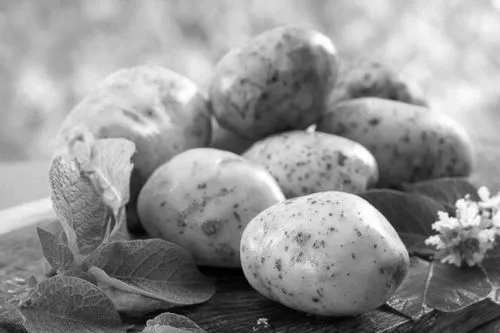 як лікувати гастрит шлунка в домашніх умовах