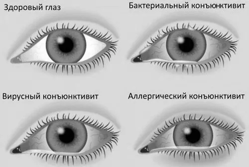 дітей