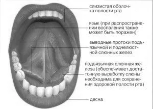 домашніх