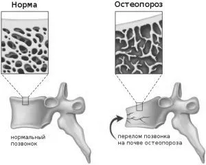 домашніх