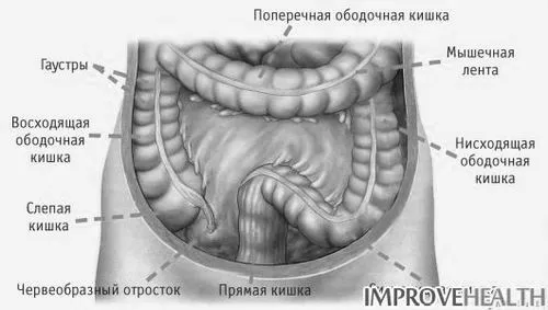 тонкого