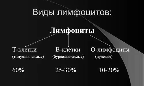 таке
