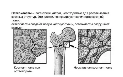 життя