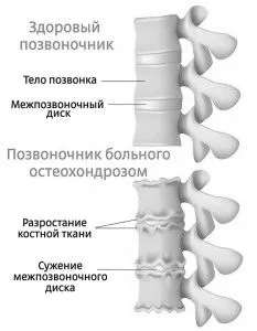 відділу
