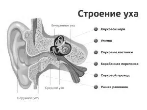 Гострий отит: симптоми, лікування інфекції