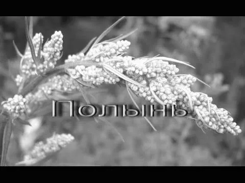як лікувати лямблії полином