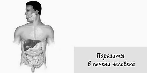 паразити