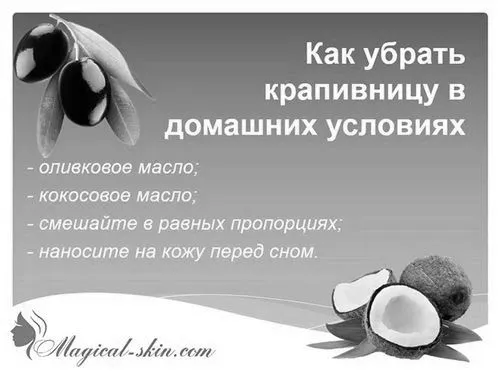 кропивниці