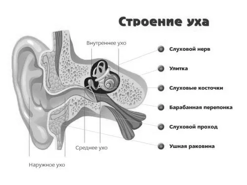 потрапила
