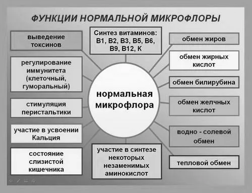 дорослих