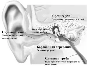 робити