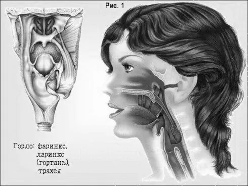 Рак горла 4 ступеня: прогноз рак горла 4 ступеня прогноз