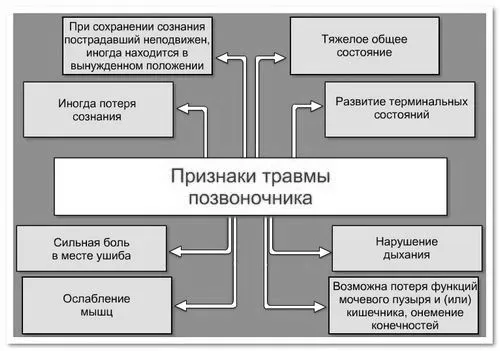 лікувати забій хребта