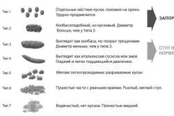 Трави від запору трави