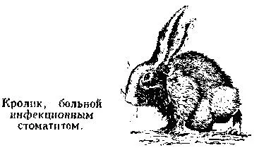 лікування