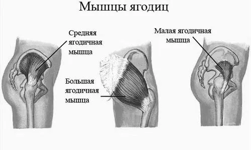 грушоподібної