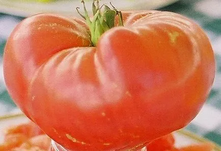 Разнообразие от домати - Алтай шедьовър