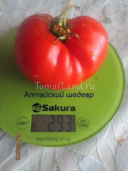 Разнообразие от домати - Алтай шедьовър