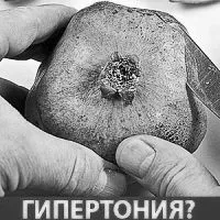 зору