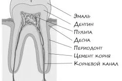 запалилася