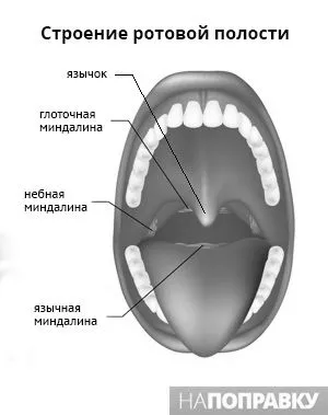 причини