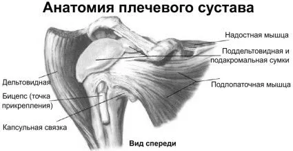 хондроз