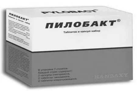 бактерії