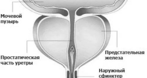 уретрит лікувати чи ні