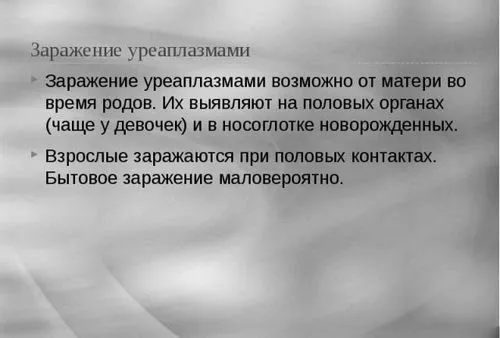 парвум