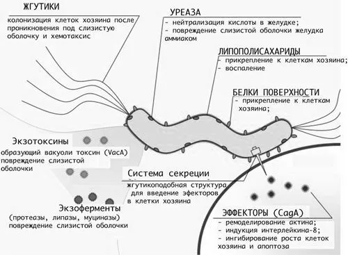 лікування