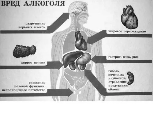 печінки