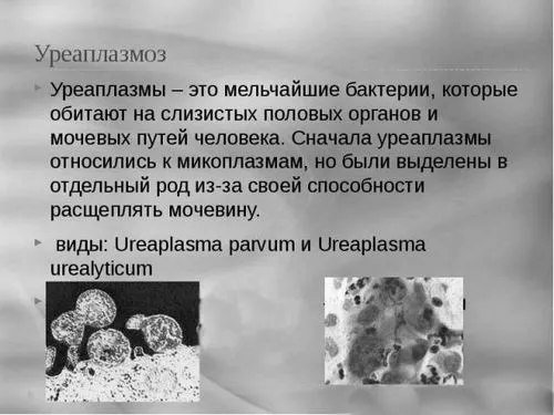 жінок