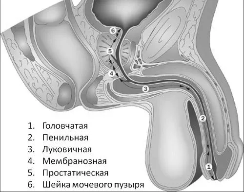 уретрит лікувати чи ні