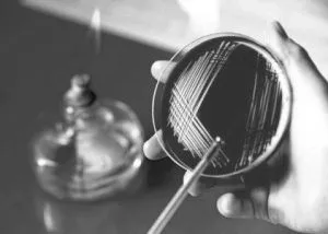 урогенітальні інфекції