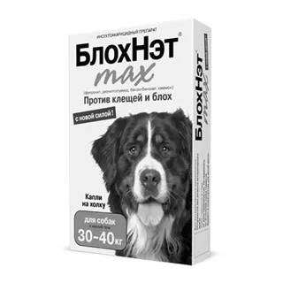 Зудневая короста у собак зудневая короста у собак