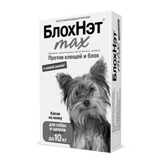 Зудневая короста у собак зудневая