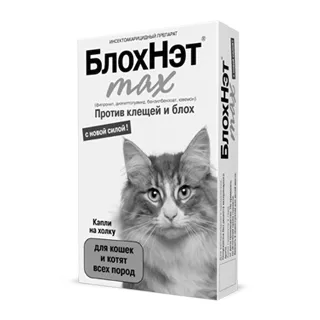 Зудневая короста у собак короста у собаки