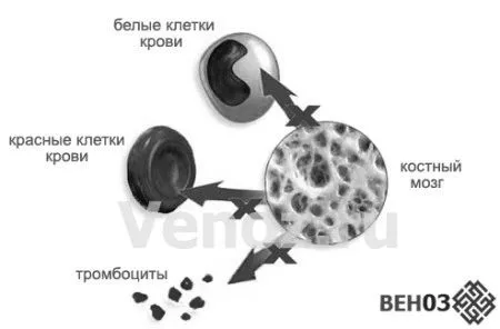 як вилікувати апластичну анемію