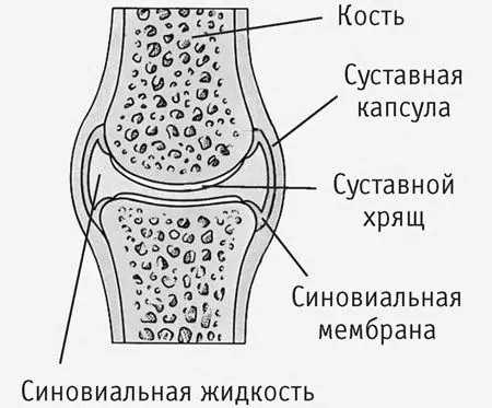 лікування