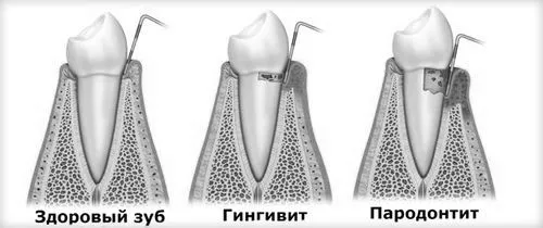 домашніх