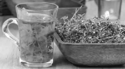 Блефарит - що це таке, симптоми і лікування народними засобами блефарит